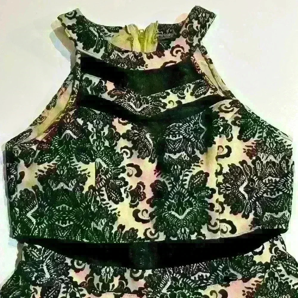 NWT Windsor black and tan velvet floral dress. Sheer Top and Middle.  Si… - Picture 2 of 6